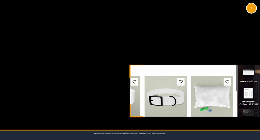 Diğer Evcil Hayvan Ürünlerini Görüntülem