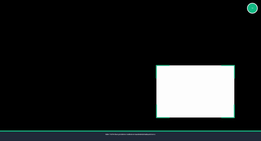 Pet Bowl Ürününe Göz Atma